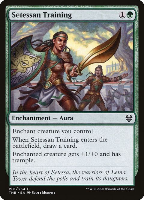 201-setessantraining