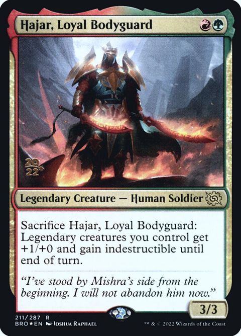 211s-hajarloyalbodyguard