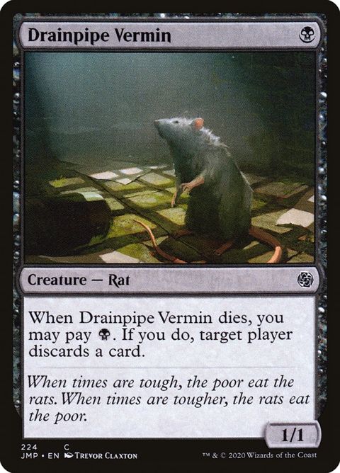 224-drainpipevermin