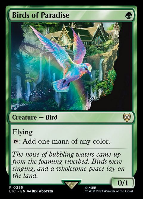 235-birdsofparadise