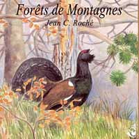 Sons De La Nature - Forêts De Montagne - Rock/Pop - CD