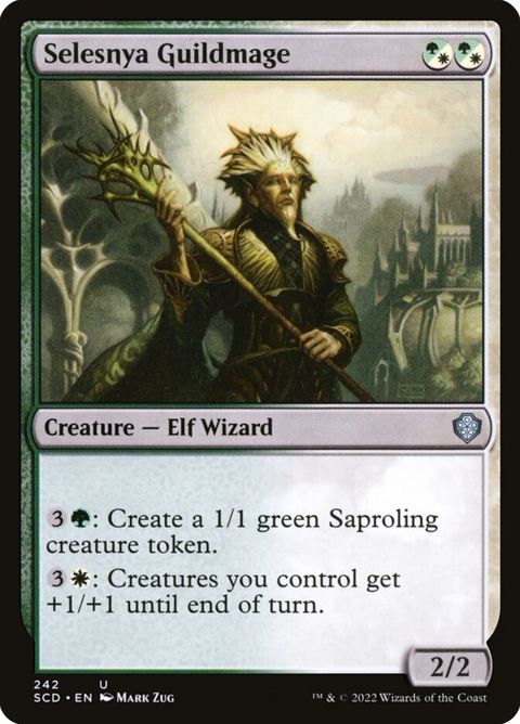 242-selesnyaguildmage