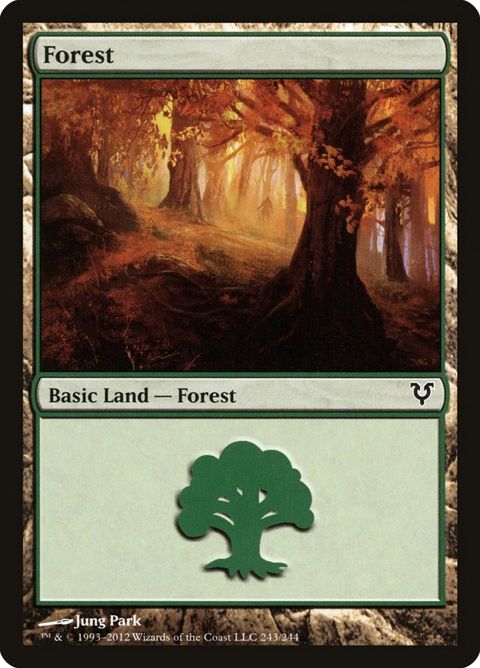 243-forest