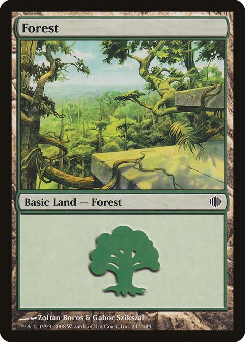 247-forest