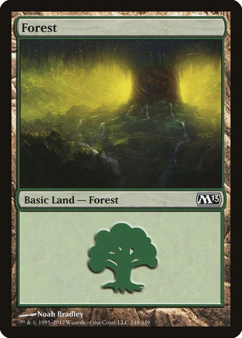 248-forest