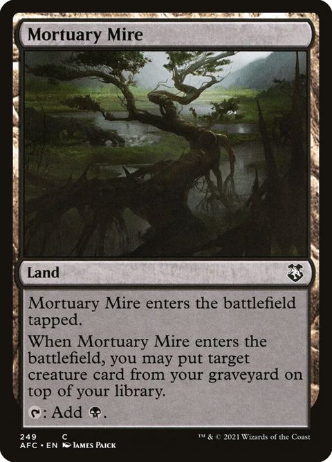249-mortuarymire