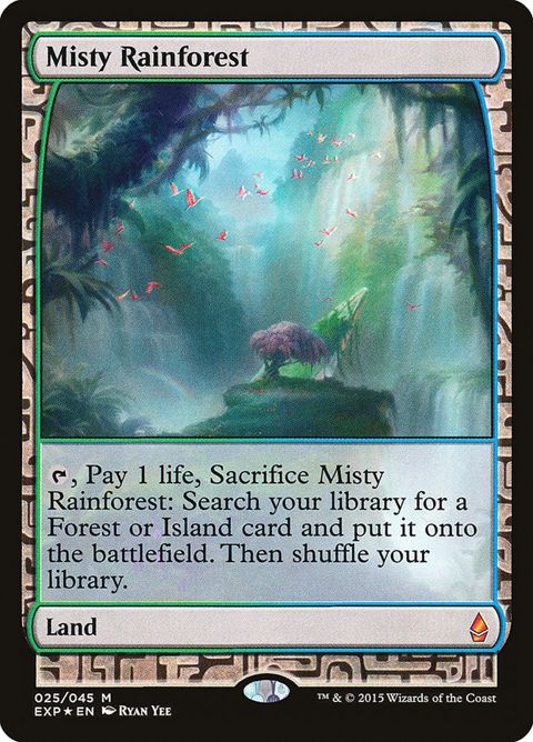 25-mistyrainforest