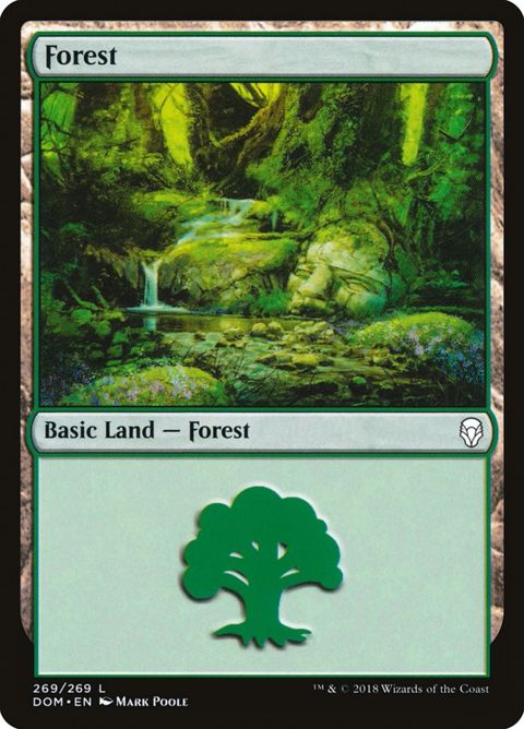 269-forest