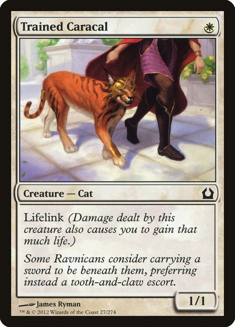 27-trainedcaracal