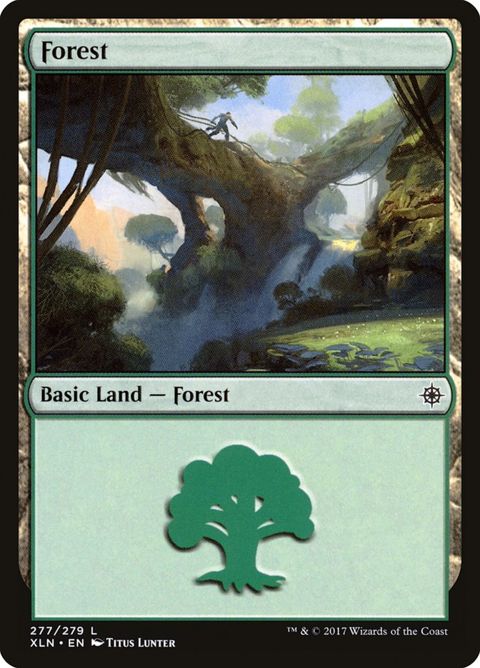 277-forest