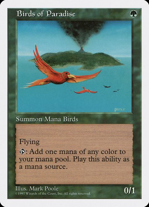 280-birdsofparadise