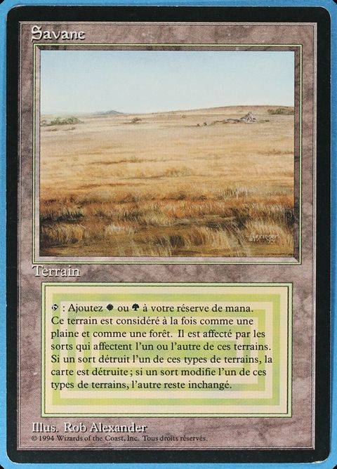 285-savannah