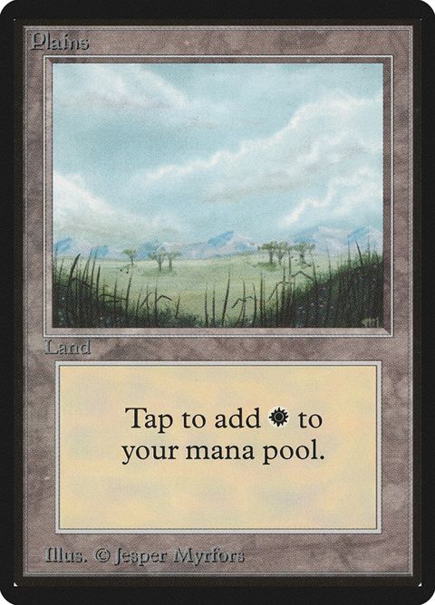289-plains