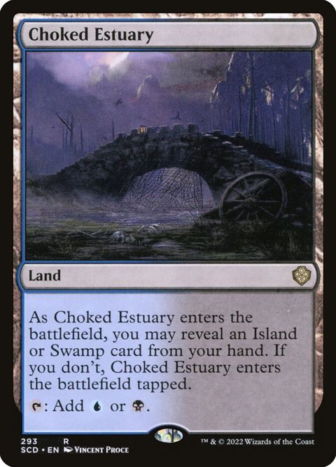 293-chokedestuary