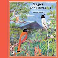 Sons De La Nature - Jungles De Sumatra - 1 - Rock/Pop - CD
