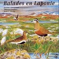 Sons De La Nature - Balades En Laponie - Rock/Pop - CD