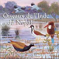 Sons De La Nature - Oiseaux De L'Inde Et Du Népal - Rock/Pop - CD