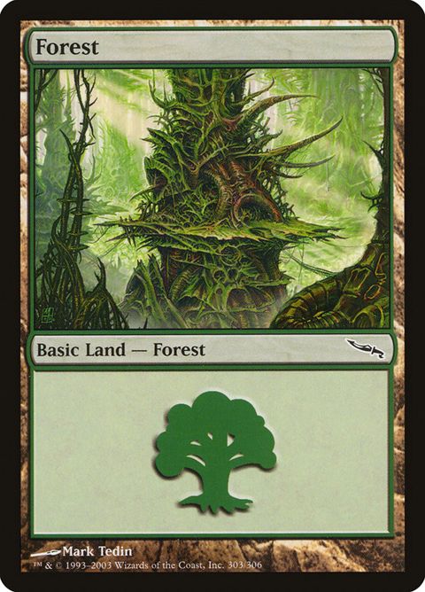 303-forest