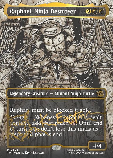 303-raphaelninjadestroyer