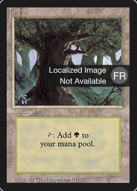 304-forest