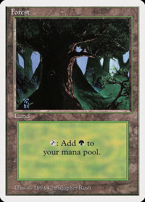 306-forest