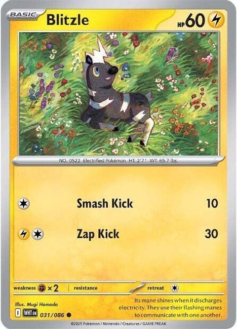 31-blitzle