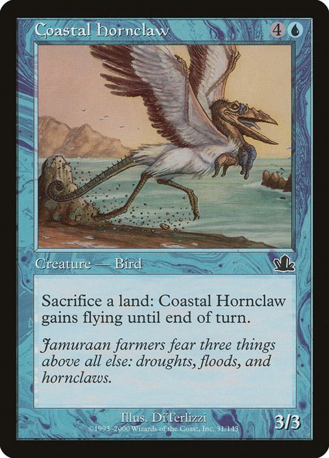 31-coastalhornclaw