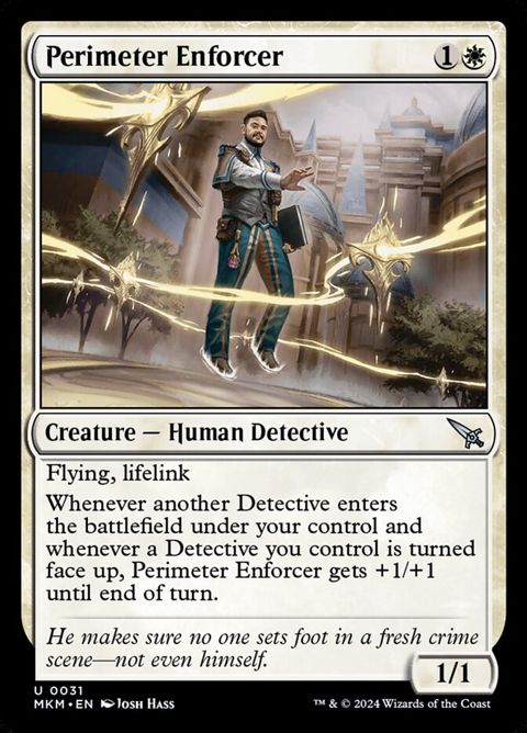 31-perimeterenforcer