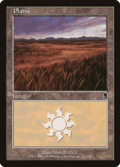 331-plains