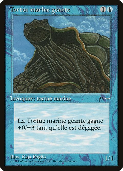 34-gianttortoise