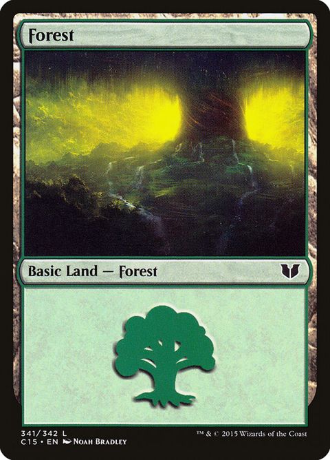 341-forest