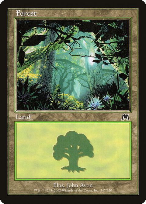 347-forest