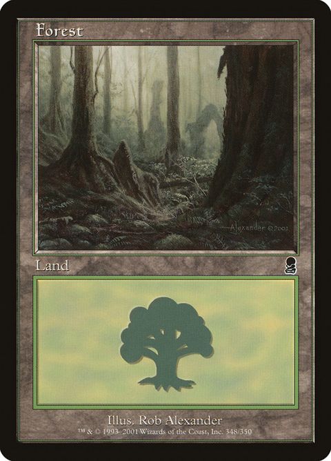 348-forest
