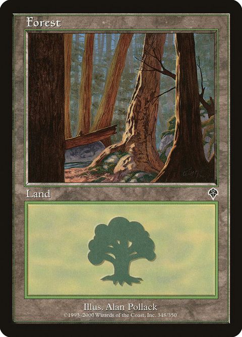 348-forest