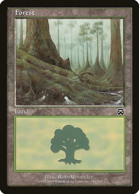 348-forest
