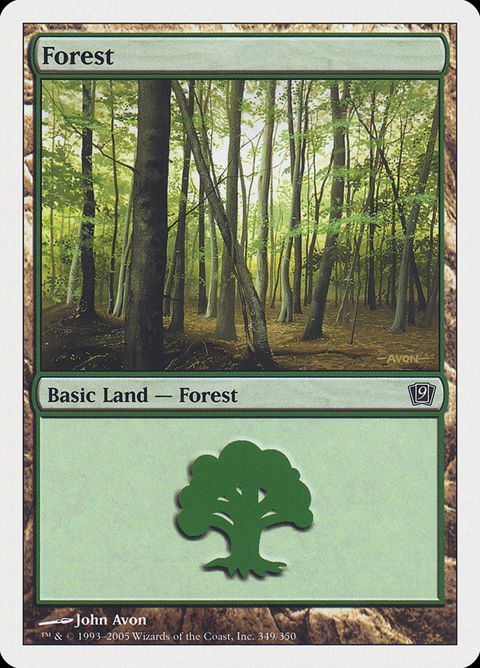 349-forest