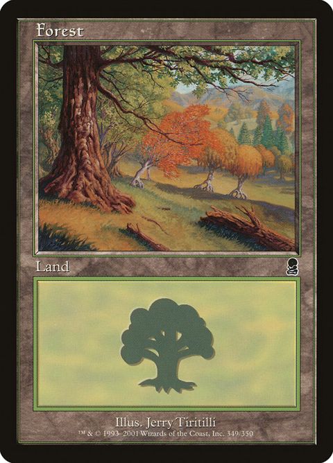 349-forest