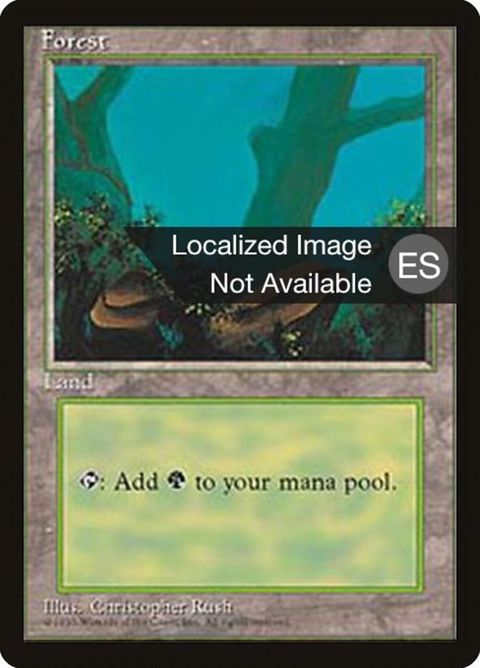 376-forest