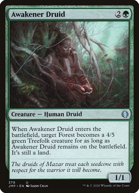 379-awakenerdruid