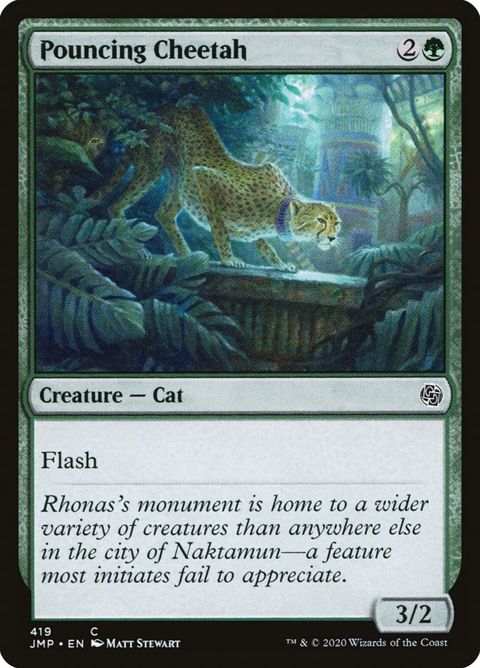 419-pouncingcheetah