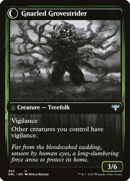 465-dormantgrovegnarledgrovestrider-b