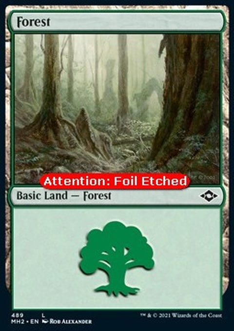 489e-forest