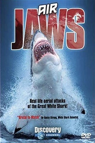 Air Jaws UK PAL DVD