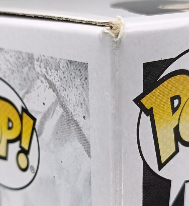 1038 Cruella (Making Art) - Disney Cruella Box Damaged Funko POP