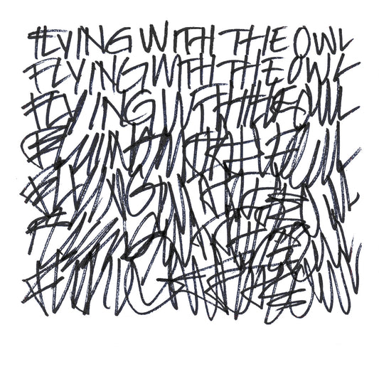 Beauty Of Gemina, The - Flying With The Owl - Electronic - CD