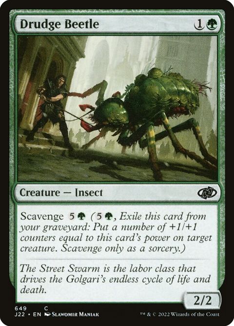 649-drudgebeetle