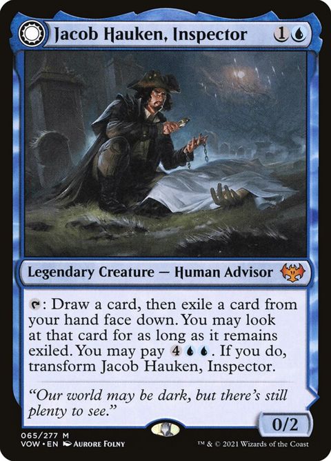 65-jacobhaukeninspectorhaukensinsight-a