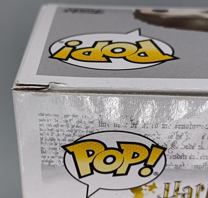 #65 Seamus Finnigan - Harry Potter Funko POP (Box Damage)