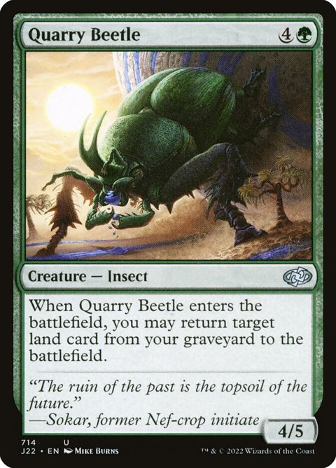 714-quarrybeetle
