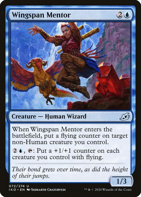 72-wingspanmentor